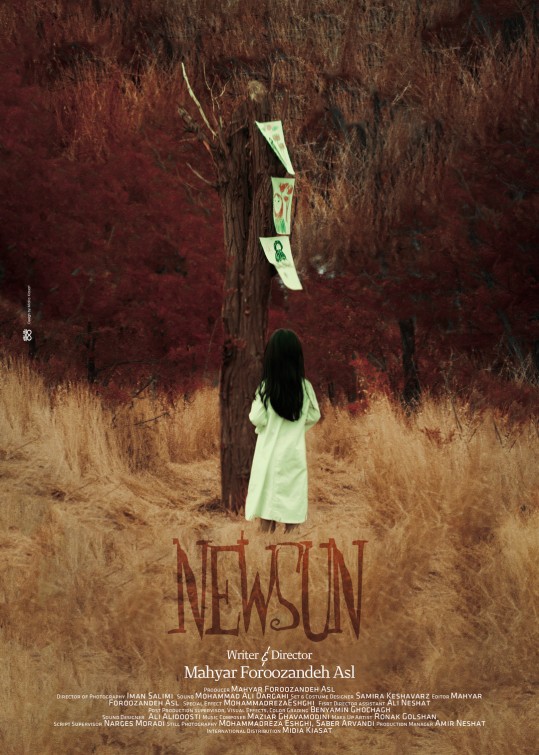 Poster design for NEWSUN